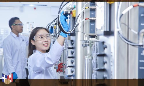 بكالوريوس التصنيع