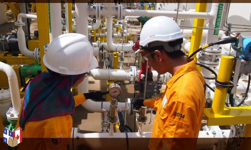 Bachelor of Petroleum Bachelor of Petroleum