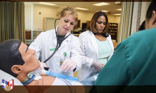 Bachelor of Science, Nursing Baccalauréat ès sciences, sciences infirmières